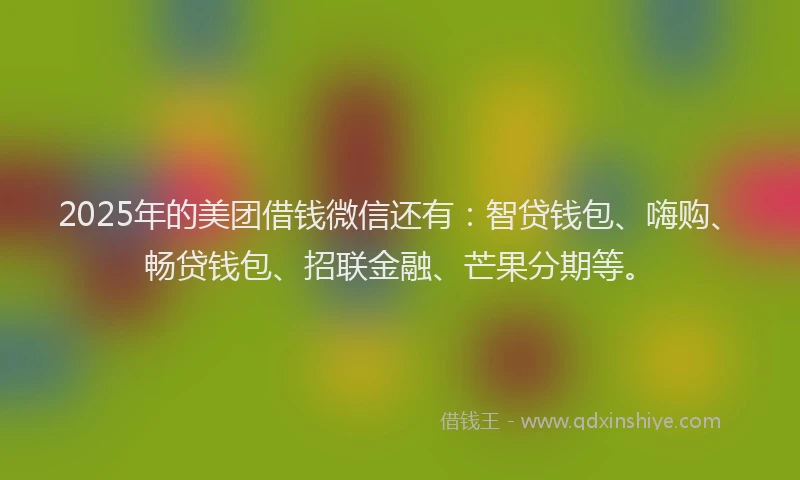 2025年的美团借钱微信还有：智贷钱包、嗨购、畅贷钱包、招联金融、芒果分期等。
