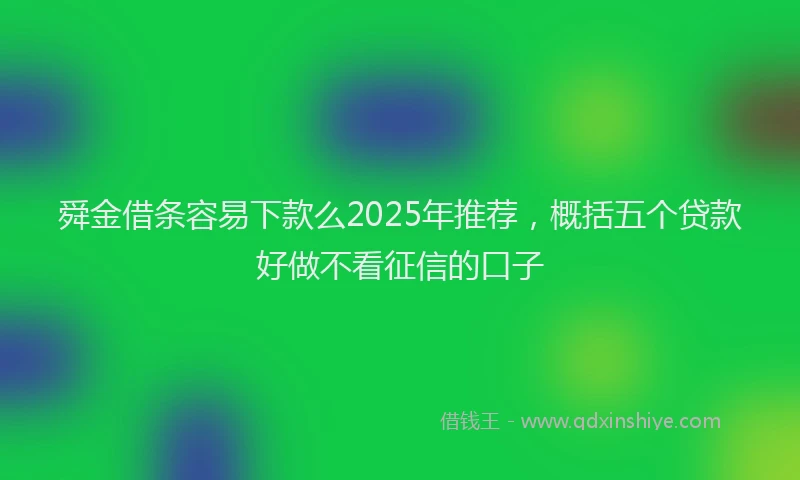 舜金借条容易下款么2025年推荐，概括五个贷款好做不看征信的口子