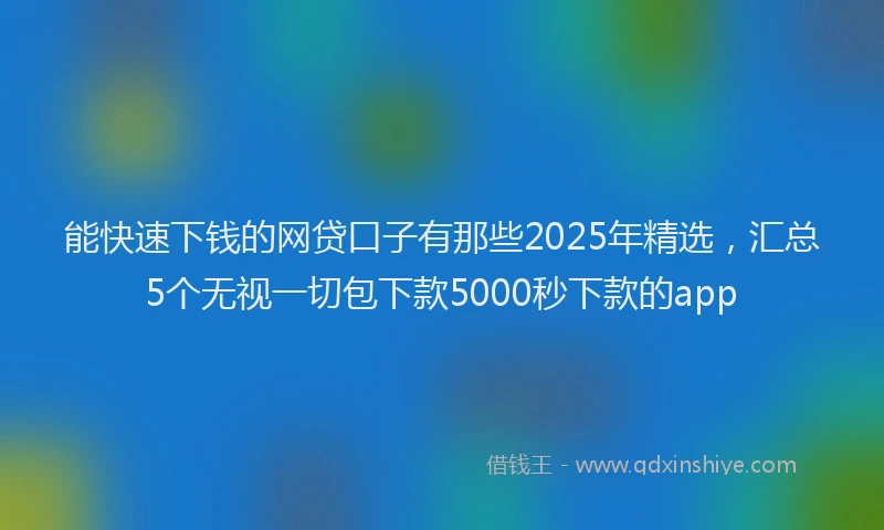能快速下钱的网贷口子有那些2025年精选，汇总5个无视一切包下款5000秒下款的app