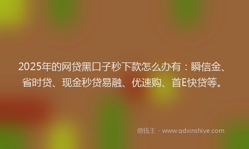2025年的网贷黑口子秒下款怎么办有：瞬信金、省时贷、现金秒贷易融、优速购、首E快贷等。