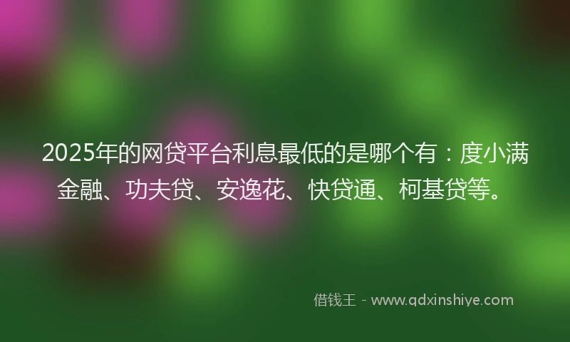 2025年的网贷平台利息最低的是哪个有：度小满金融、功夫贷、安逸花、快贷通、柯基贷等。