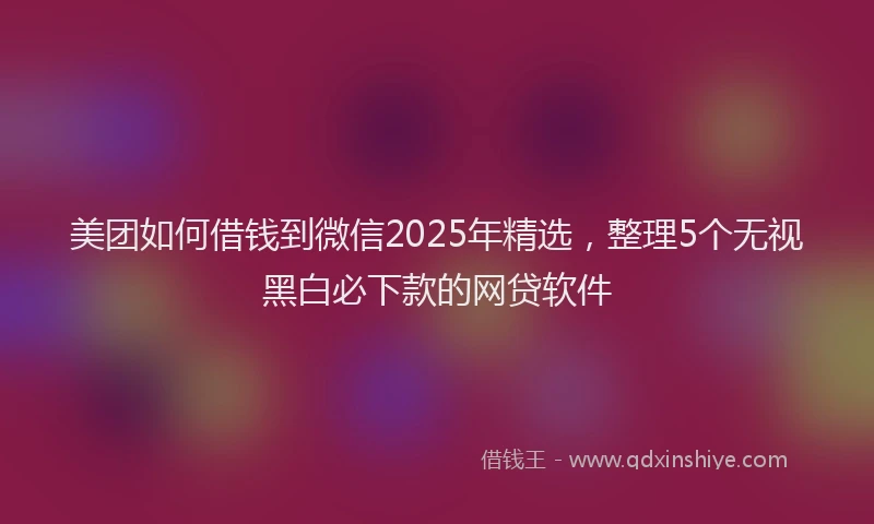 美团如何借钱到微信2025年精选，整理5个无视黑白必下款的网贷软件
