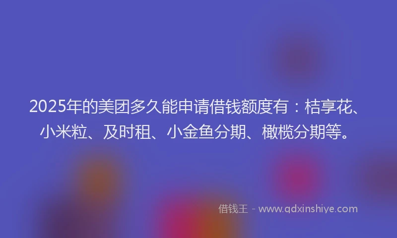 2025年的美团多久能申请借钱额度有：桔享花、小米粒、及时租、小金鱼分期、橄榄分期等。