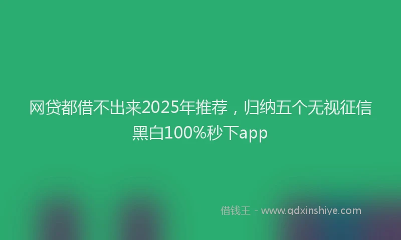 网贷都借不出来2025年推荐，归纳五个无视征信黑白100%秒下app
