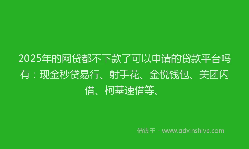 2025年的网贷都不下款了可以申请的贷款平台吗有：现金秒贷易行、射手花、金悦钱包、美团闪借、柯基速借等。