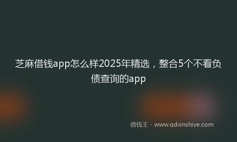 芝麻借钱app怎么样2025年精选，整合5个不看负债查询的app