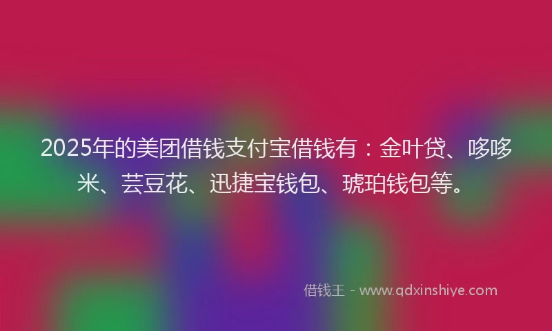 2025年的美团借钱支付宝借钱有：金叶贷、哆哆米、芸豆花、迅捷宝钱包、琥珀钱包等。