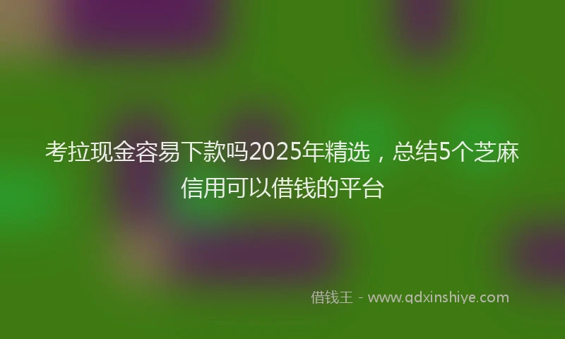 考拉现金容易下款吗2025年精选，总结5个芝麻信用可以借钱的平台