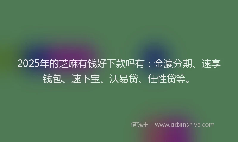 2025年的芝麻有钱好下款吗有：金瀛分期、速享钱包、速下宝、沃易贷、任性贷等。