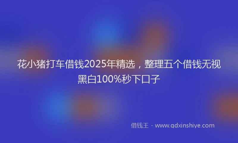 花小猪打车借钱2025年精选，整理五个借钱无视黑白100%秒下口子