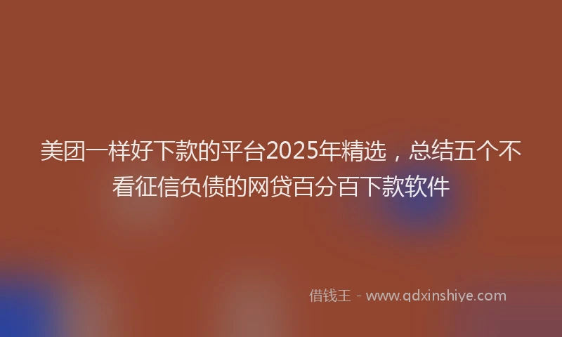 美团一样好下款的平台2025年精选，总结五个不看征信负债的网贷百分百下款软件