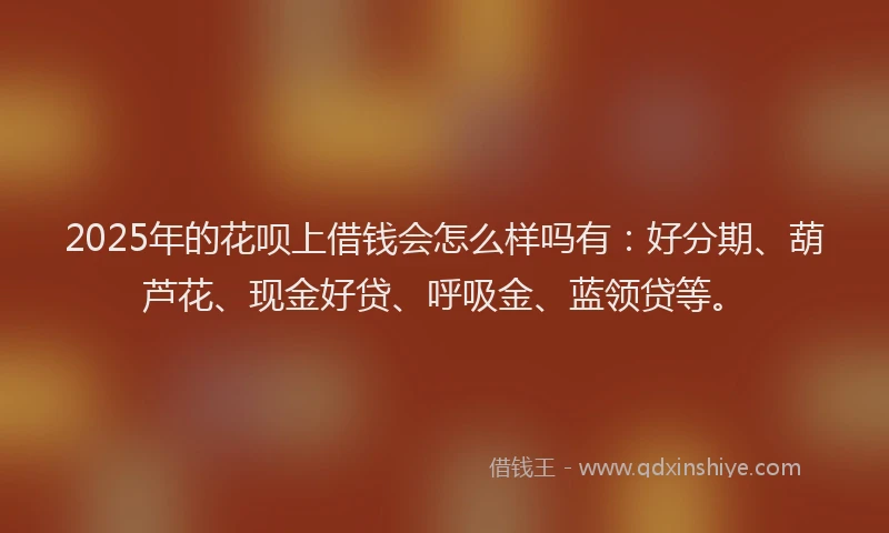 2025年的花呗上借钱会怎么样吗有：好分期、葫芦花、现金好贷、呼吸金、蓝领贷等。