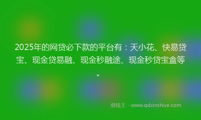 2025年的网贷必下款的平台有：天小花、快易贷宝、现金贷易融、现金秒融途、现金秒贷宝盒等。