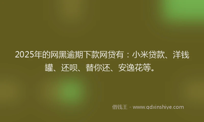 2025年的网黑逾期下款网贷有：小米贷款、洋钱罐、还呗、替你还、安逸花等。