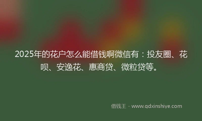 2025年的花户怎么能借钱啊微信有：投友圈、花呗、安逸花、惠商贷、微粒贷等。