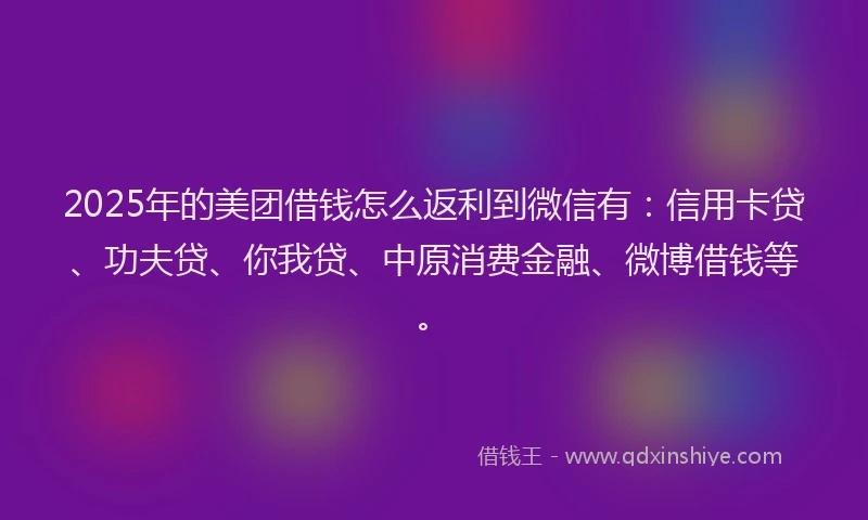 2025年的美团借钱怎么返利到微信有：信用卡贷、功夫贷、你我贷、中原消费金融、微博借钱等。