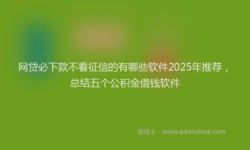 网贷必下款不看征信的有哪些软件2025年推荐，总结五个公积金借钱软件