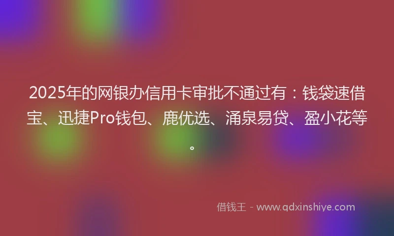 2025年的网银办信用卡审批不通过有：钱袋速借宝、迅捷Pro钱包、鹿优选、涌泉易贷、盈小花等。
