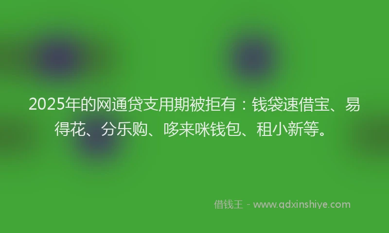 2025年的网通贷支用期被拒有：钱袋速借宝、易得花、分乐购、哆来咪钱包、租小新等。