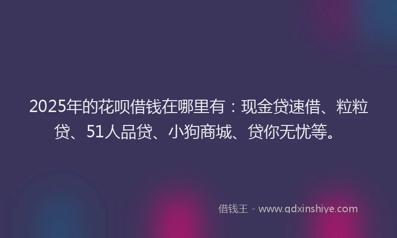 2025年的花呗借钱在哪里有：现金贷速借、粒粒贷、51人品贷、小狗商城、贷你无忧等。