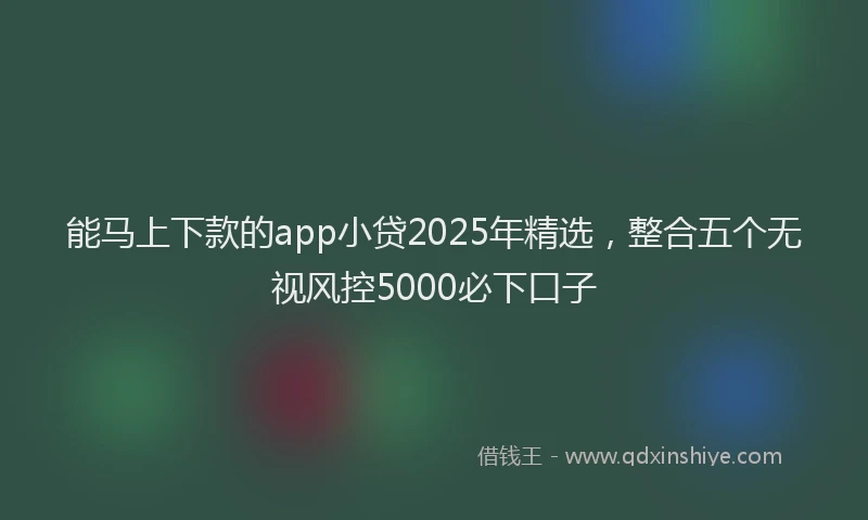 能马上下款的app小贷2025年精选，整合五个无视风控5000必下口子
