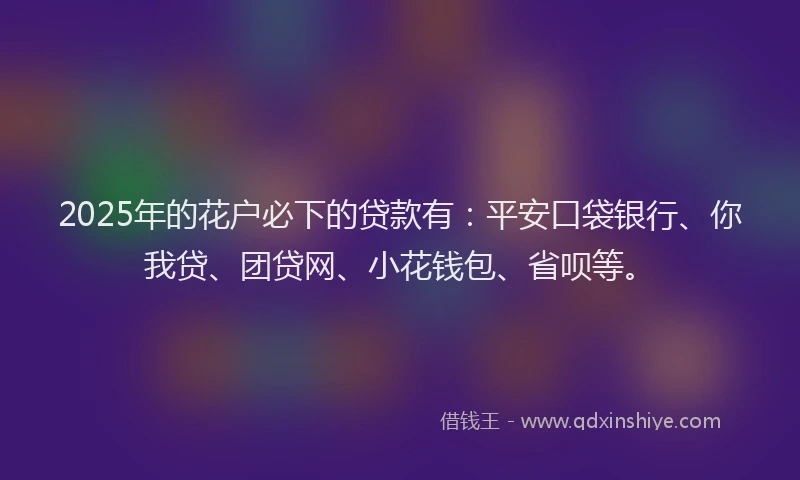 2025年的花户必下的贷款有：平安口袋银行、你我贷、团贷网、小花钱包、省呗等。