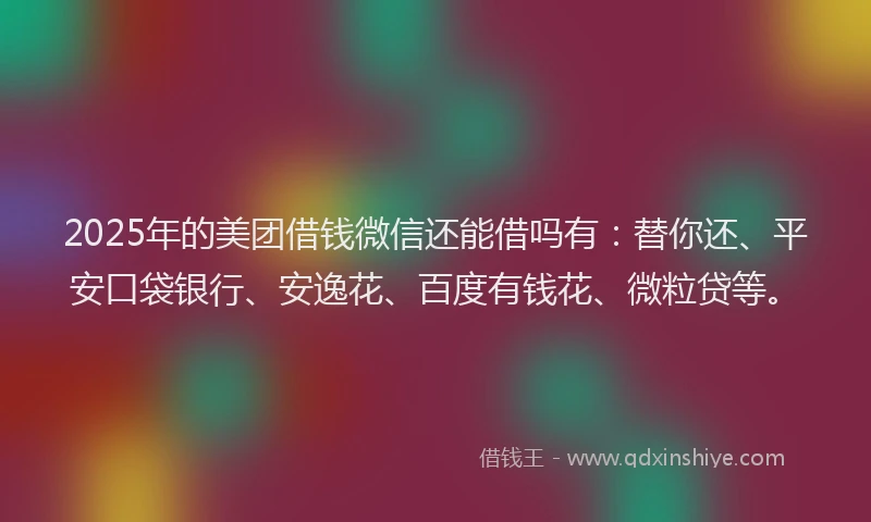 2025年的美团借钱微信还能借吗有：替你还、平安口袋银行、安逸花、百度有钱花、微粒贷等。