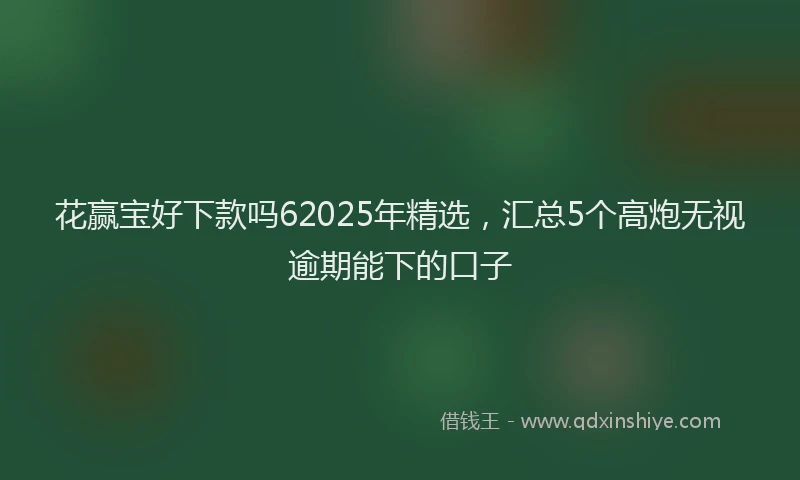 花赢宝好下款吗62025年精选，汇总5个高炮无视逾期能下的口子