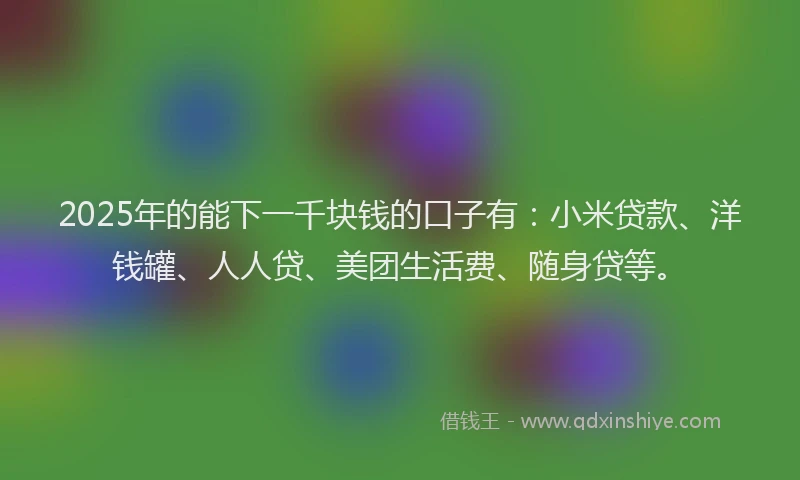 2025年的能下一千块钱的口子有：小米贷款、洋钱罐、人人贷、美团生活费、随身贷等。