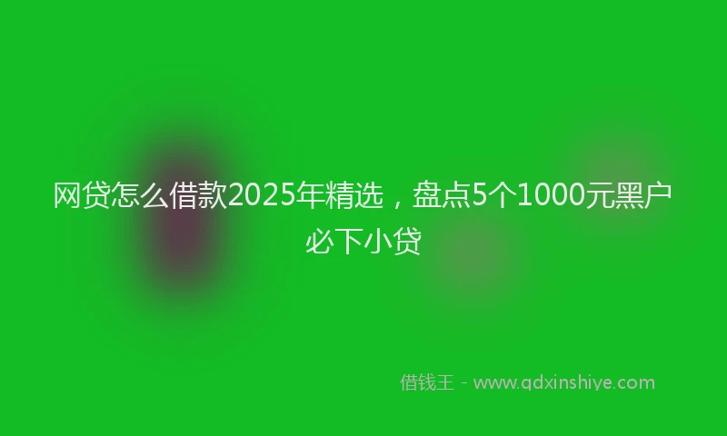 网贷怎么借款2025年精选，盘点5个1000元黑户必下小贷