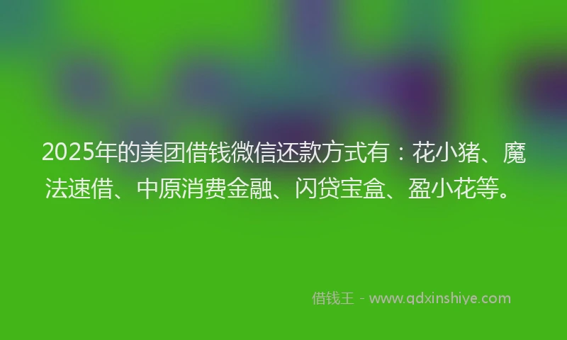 2025年的美团借钱微信还款方式有：花小猪、魔法速借、中原消费金融、闪贷宝盒、盈小花等。