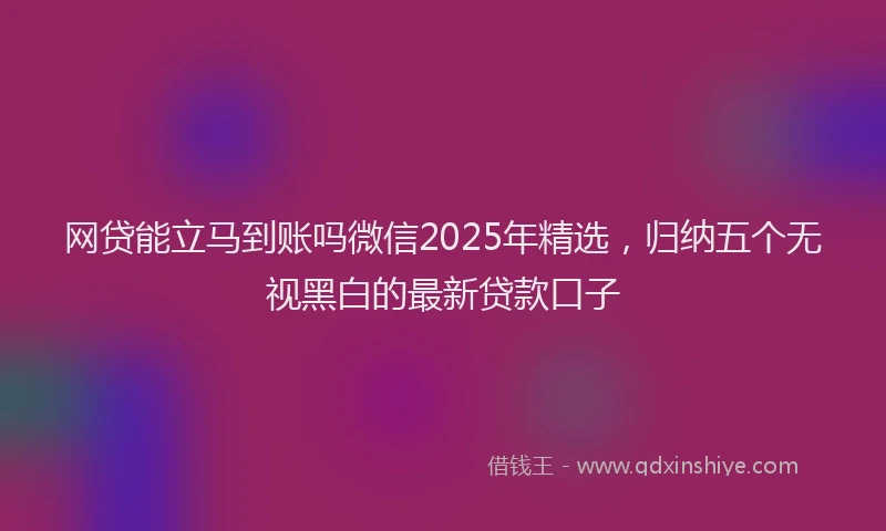 网贷能立马到账吗微信2025年精选，归纳五个无视黑白的最新贷款口子