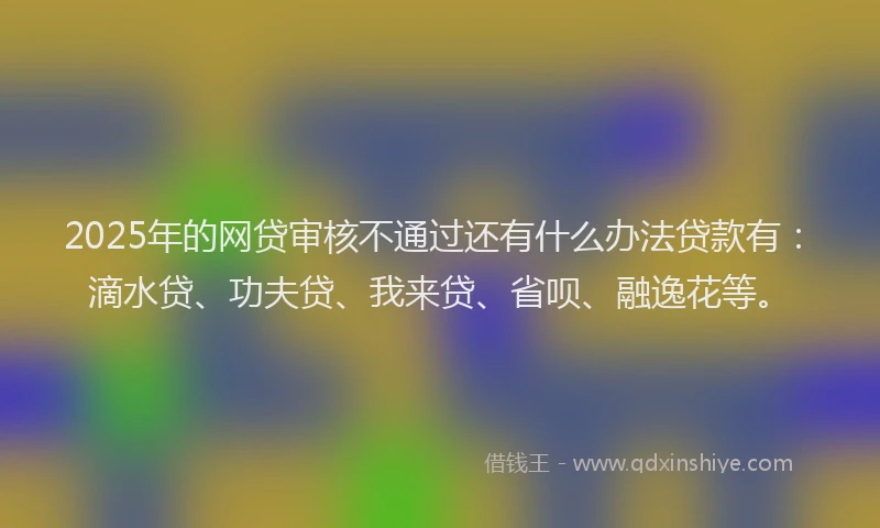 2025年的网贷审核不通过还有什么办法贷款有：滴水贷、功夫贷、我来贷、省呗、融逸花等。