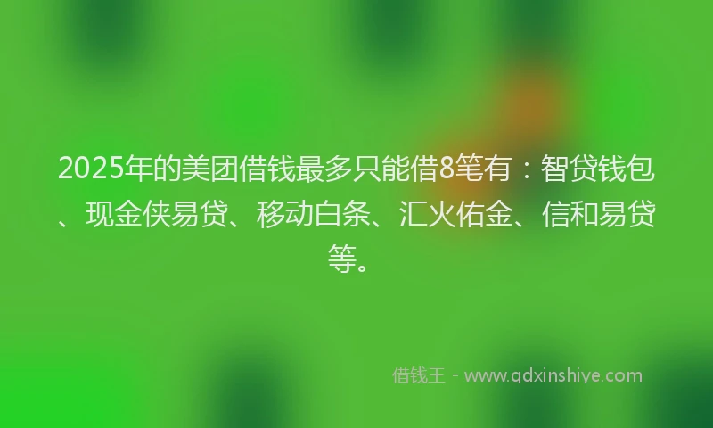 2025年的美团借钱最多只能借8笔有：智贷钱包、现金侠易贷、移动白条、汇火佑金、信和易贷等。