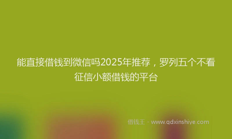 能直接借钱到微信吗2025年推荐，罗列五个不看征信小额借钱的平台