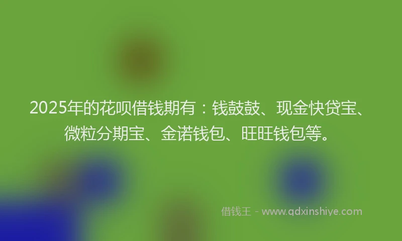 2025年的花呗借钱期有：钱鼓鼓、现金快贷宝、微粒分期宝、金诺钱包、旺旺钱包等。