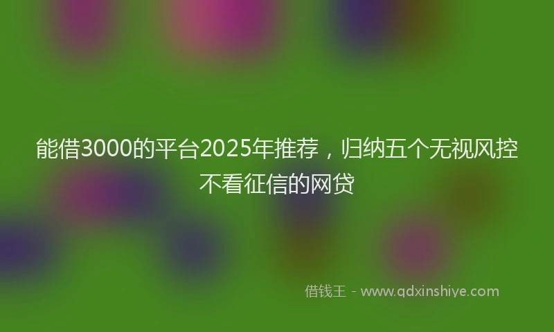 能借3000的平台2025年推荐，归纳五个无视风控不看征信的网贷