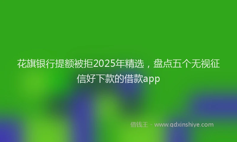花旗银行提额被拒2025年精选，盘点五个无视征信好下款的借款app