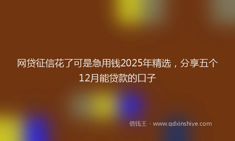 网贷征信花了可是急用钱2025年精选，分享五个12月能贷款的口子