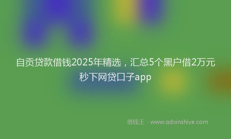 自贡贷款借钱2025年精选，汇总5个黑户借2万元秒下网贷口子app