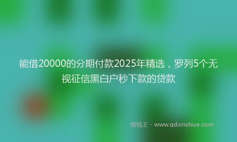 能借20000的分期付款2025年精选，罗列5个无视征信黑白户秒下款的贷款