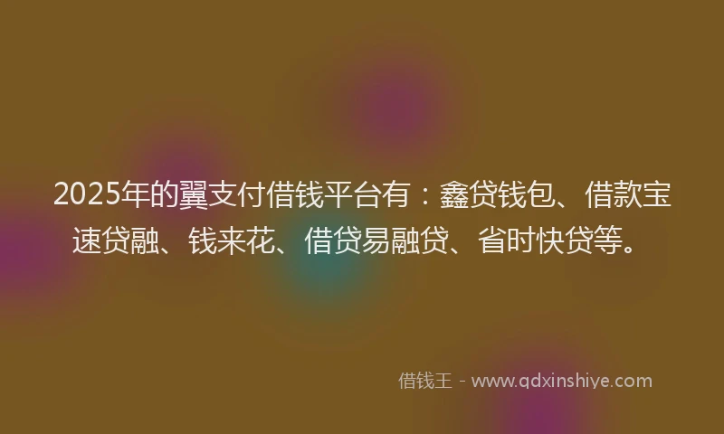 2025年的翼支付借钱平台有：鑫贷钱包、借款宝速贷融、钱来花、借贷易融贷、省时快贷等。
