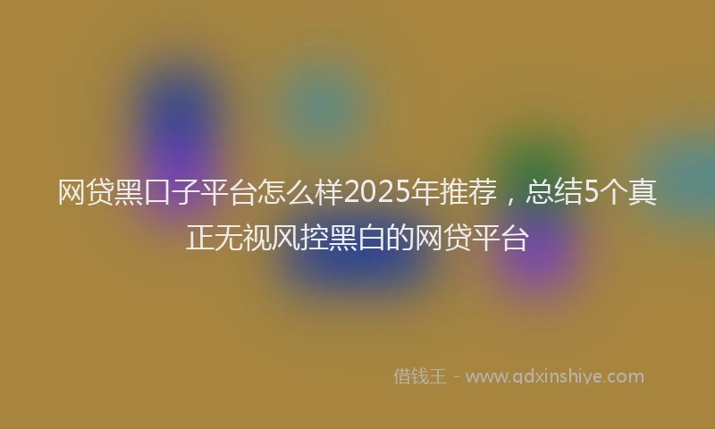 网贷黑口子平台怎么样2025年推荐，总结5个真正无视风控黑白的网贷平台