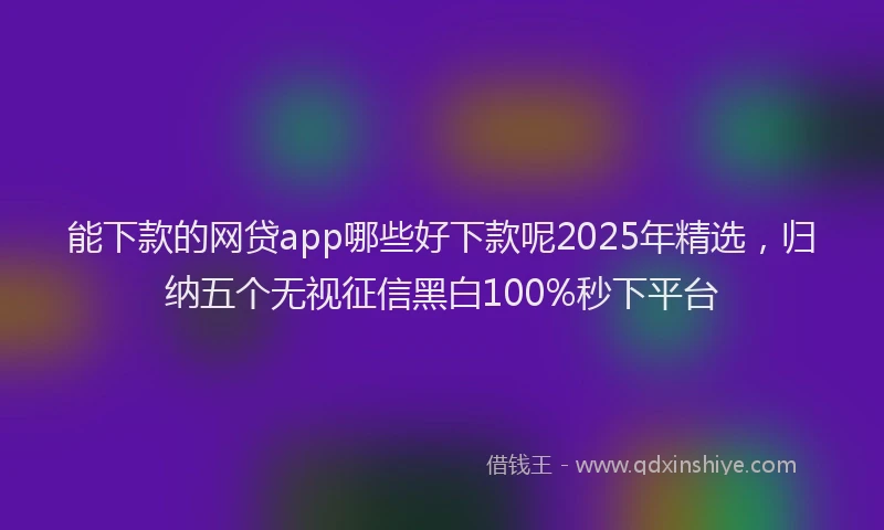 能下款的网贷app哪些好下款呢2025年精选，归纳五个无视征信黑白100%秒下平台