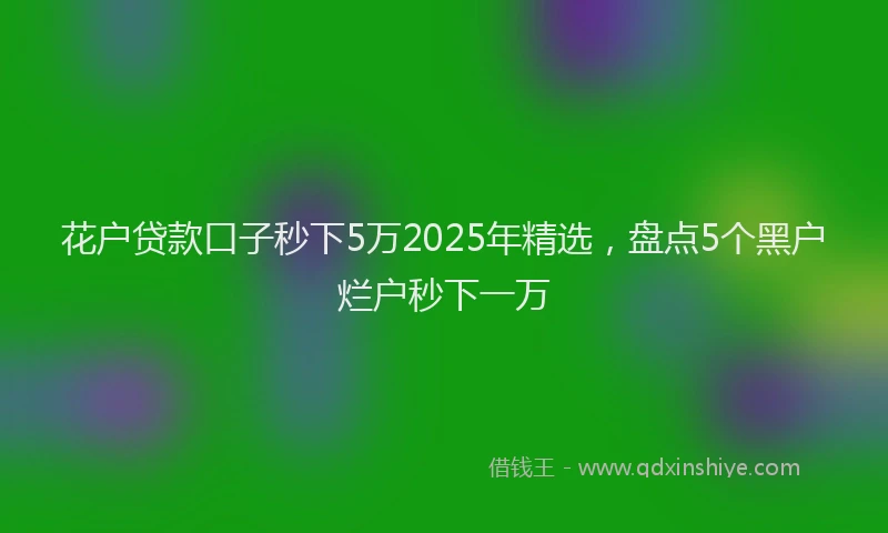 花户贷款口子秒下5万2025年精选，盘点5个黑户烂户秒下一万