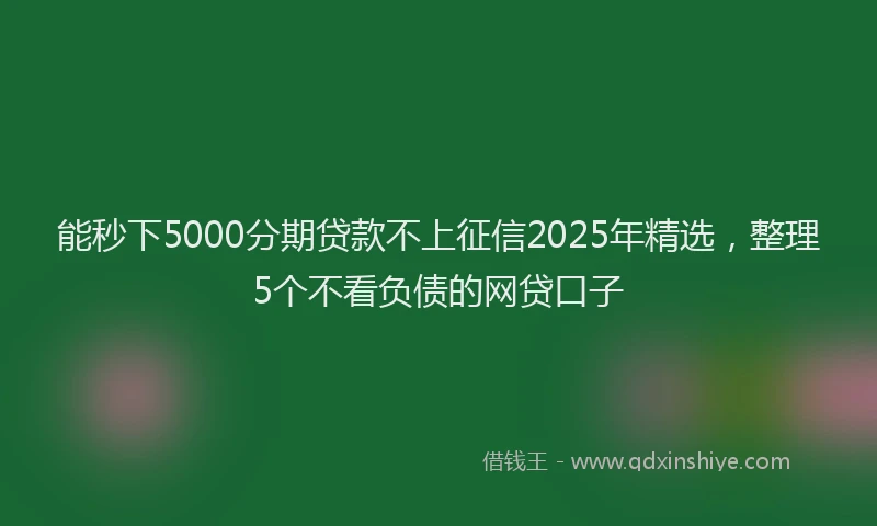 能秒下5000分期贷款不上征信2025年精选，整理5个不看负债的网贷口子
