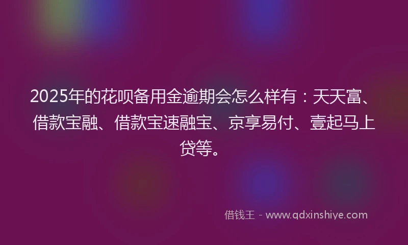 2025年的花呗备用金逾期会怎么样有：天天富、借款宝融、借款宝速融宝、京享易付、壹起马上贷等。