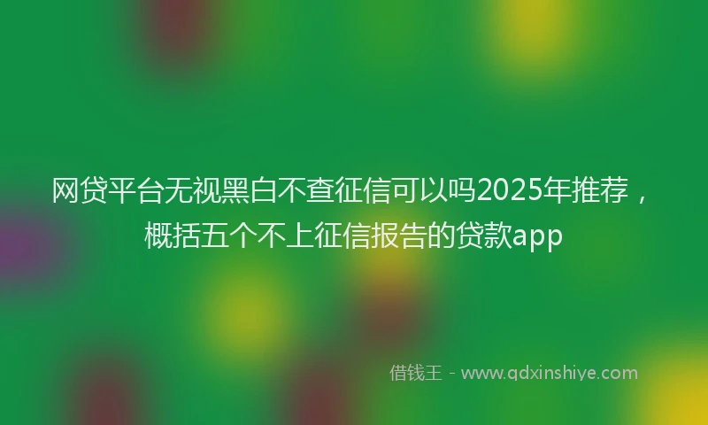 网贷平台无视黑白不查征信可以吗2025年推荐，概括五个不上征信报告的贷款app