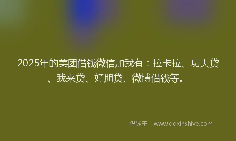 2025年的美团借钱微信加我有：拉卡拉、功夫贷、我来贷、好期贷、微博借钱等。