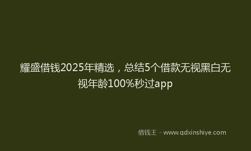 耀盛借钱2025年精选，总结5个借款无视黑白无视年龄100%秒过app